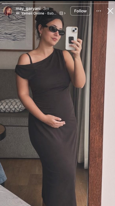 מאי ורביד פלוטניק