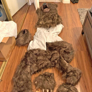  תחפושת הדוב ששימשה להונאה