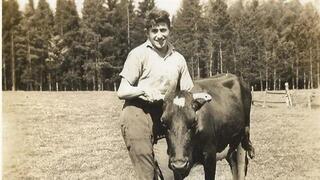 מוש זילברשמידט