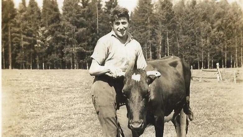 מוש זילברשמידט