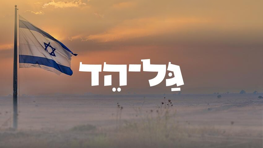 גל-הד: הסיפורים המרגשים על מי שיצאו להגן על המדינה,מפי קרוביהם ואהוביהם