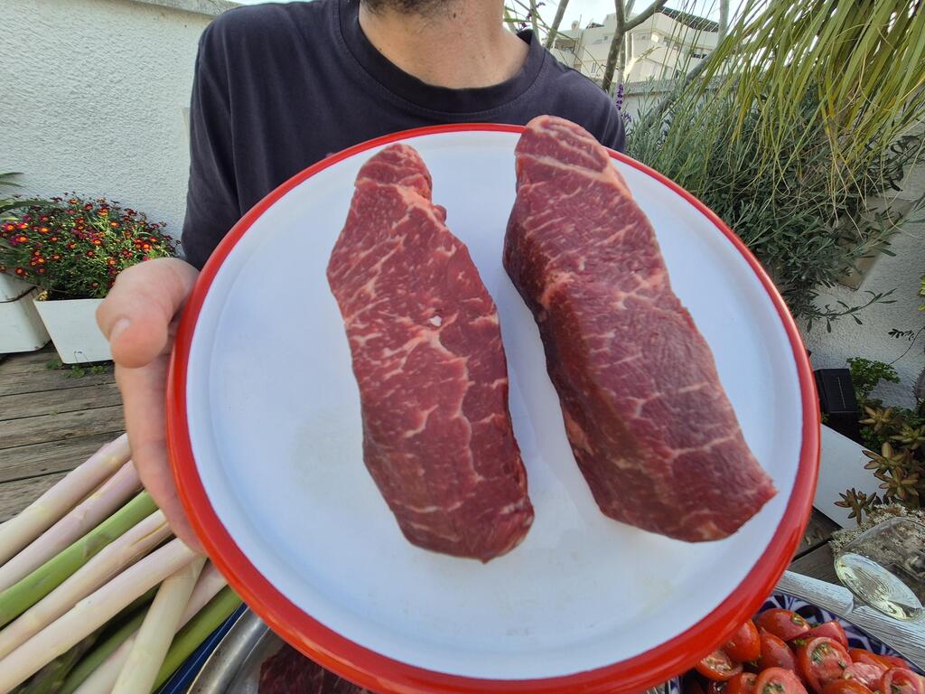 סינטה הולשטיין