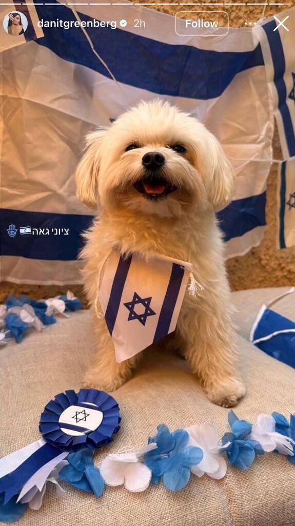 יום העצמאות