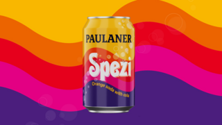 שפצי פאולאנר