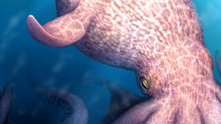 איור של המפלצת הימית