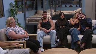 מתוך "האח הגדול"