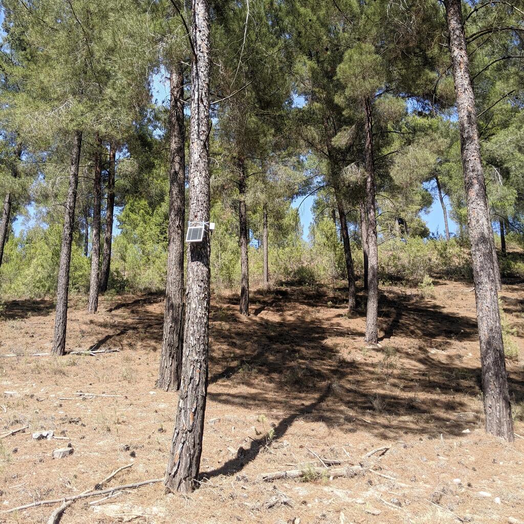 Preventing wildfires from spreading by detecting them as early as possible