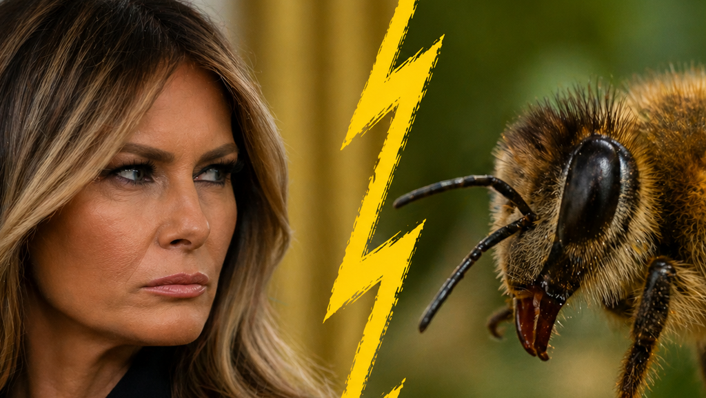 מלאניה טראמפ ודבורה