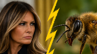 מלאניה טראמפ ודבורה