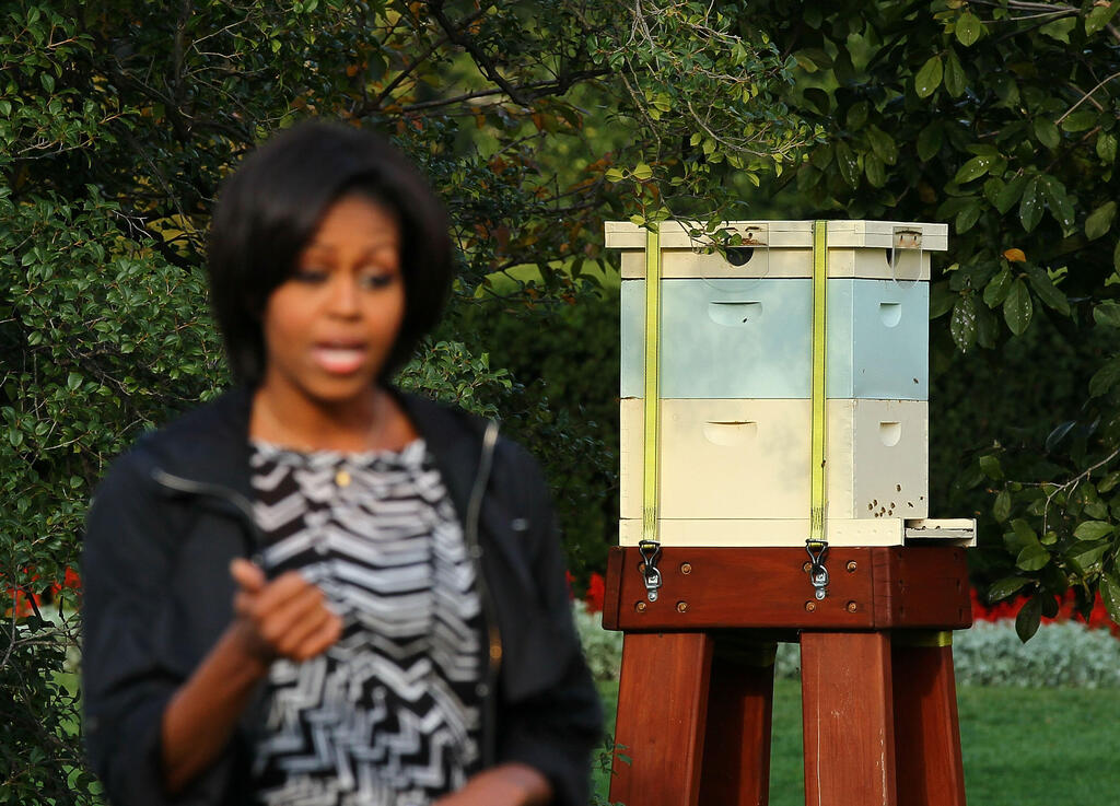 מישל אובמה בגינת הבית הלבן 