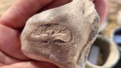 אחד משברי ידיות כדי החרס, שעליהן נחשפו הכתובות "למלך" ו"למלך חברון" בעברית. הידיות תוארכו למאה ה-8 לפני הספירה