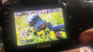 תיעודים מתוך לבנון 