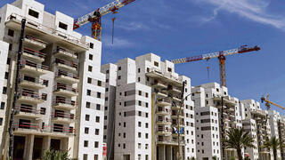 צילום: עמית שעל