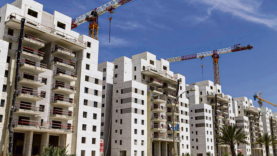 צילום: עמית שעל