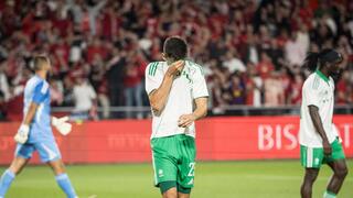 ינון פיינגזיכט 