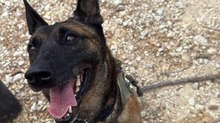 ברני זיהתה מחבלים בבינת ג'ביל ונהרגה: "הצילה חיים"