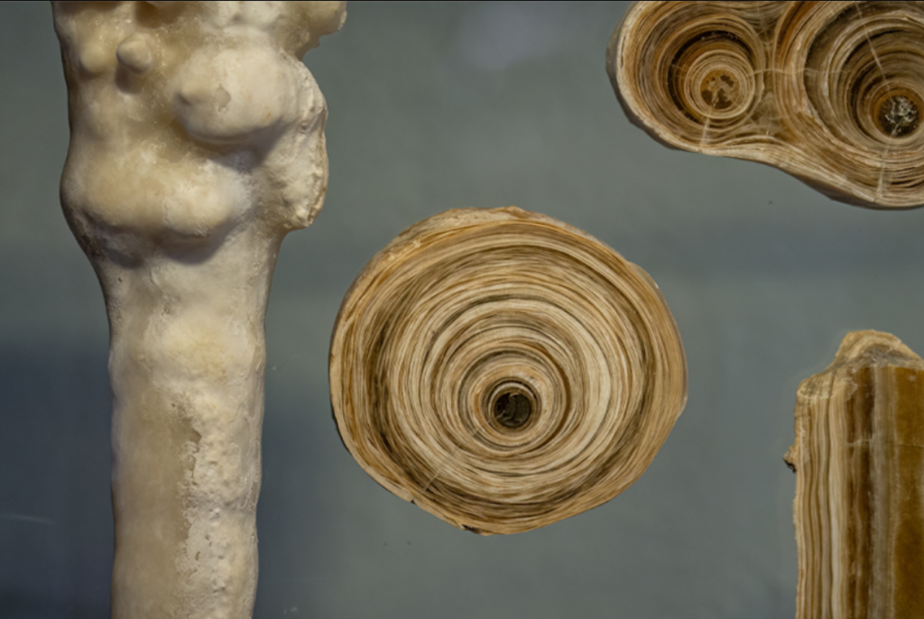 During the study, Bar-Matthews examined cross-sections of stalactites that revealed growth rings similar to those found in trees. Cross-section of a stalactite 