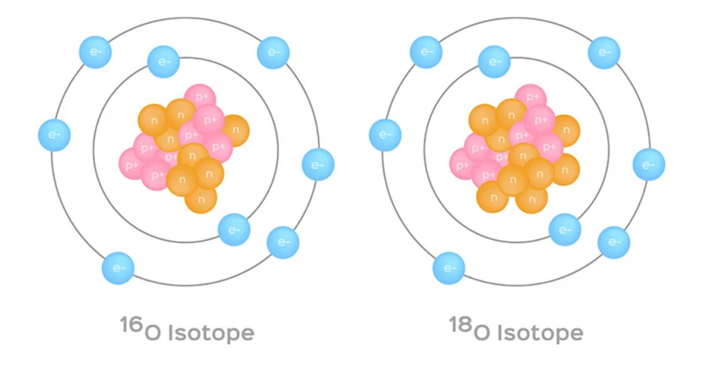 Isotopes are different forms of the same element, differing in the number of neutrons in the nucleus. Illustration of two oxygen isotopes, oxygen-16 and oxygen-18 