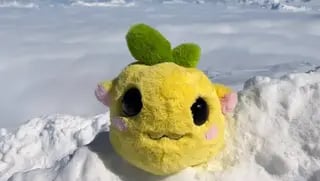 מיליונים ראו אותה צונחת: הבובה שהפכה לאובססיה