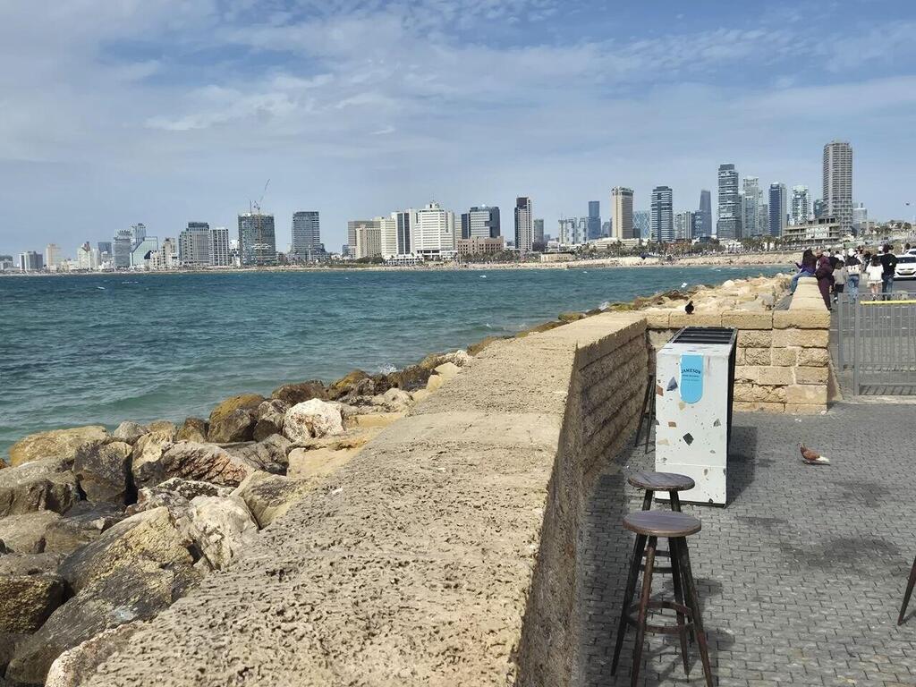נמל יפו