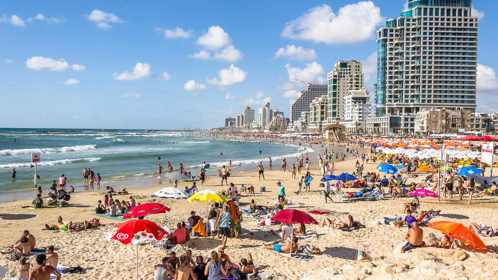 Фото: Mltz\shutterstock