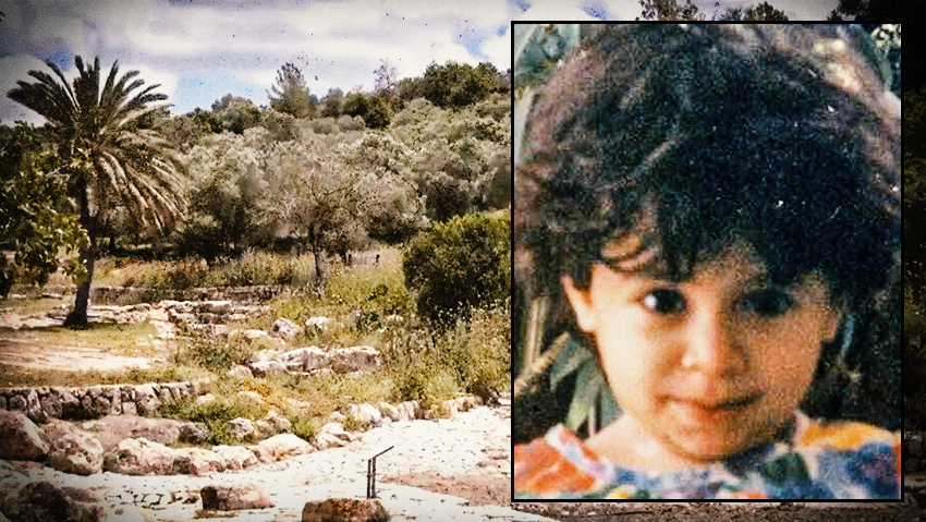 "אין דם, אין בגדים, אין שערה": הילדה שנעלמה בין עצי הפארק ליד לטרון