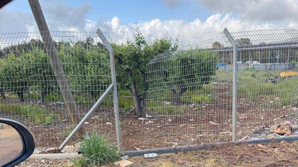 הנזקים באזור מרום בעקבות מסתננים למירון