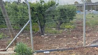 המסתננים למירון גרמו לנזקים בשווי מיליוני שקלים