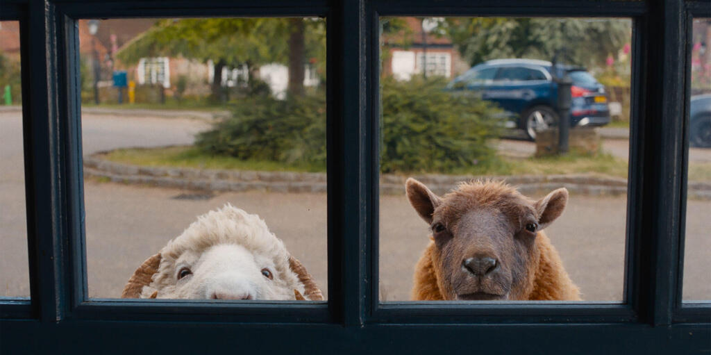 Кадр из фильма "Следствие ведут овечки" (Фото: Forum Film ) Кадр из фильма "Следствие ведут овечки"