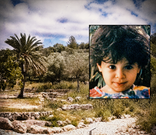 וולא אבו קטיש