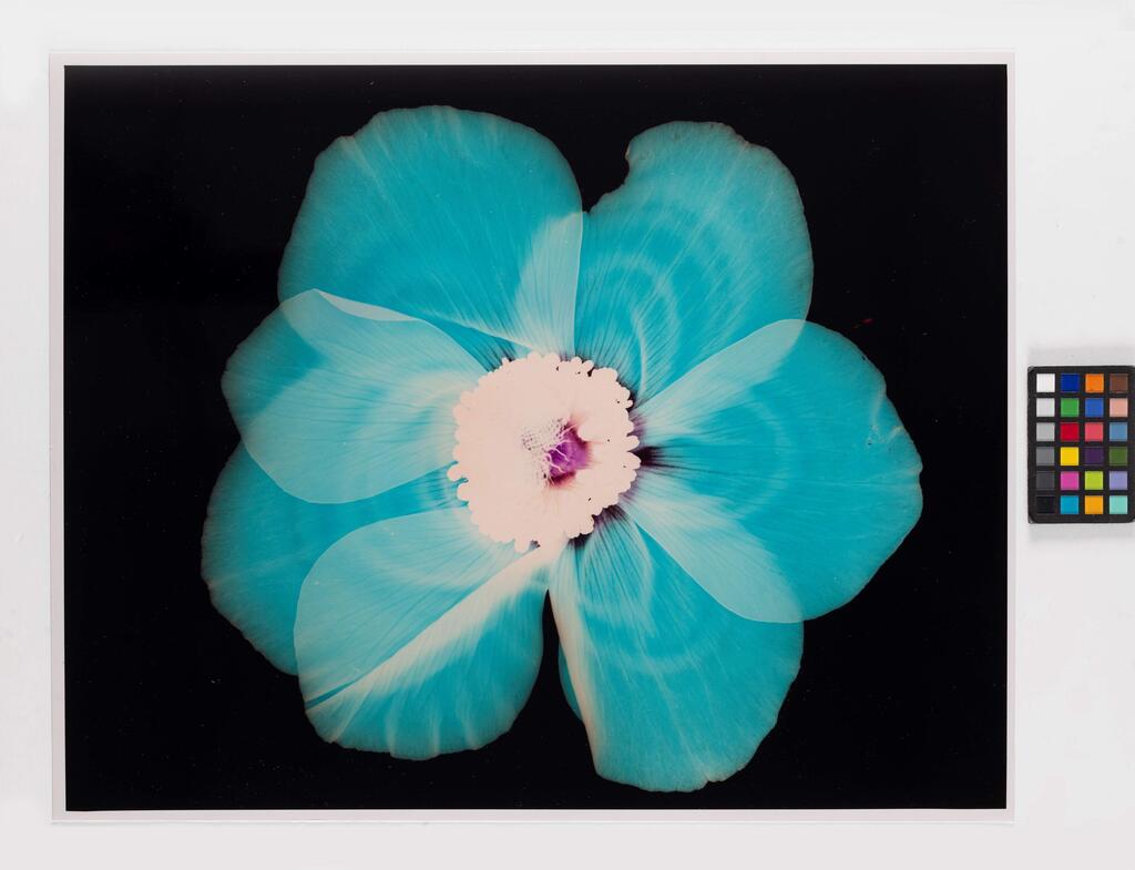 A work by Ora Lev from the series “The Way It Was,” now on display at Anna Ticho House (Photo: Ora Lev) צילום של אורה לב, מתוך סדרת "ככה זה היה"