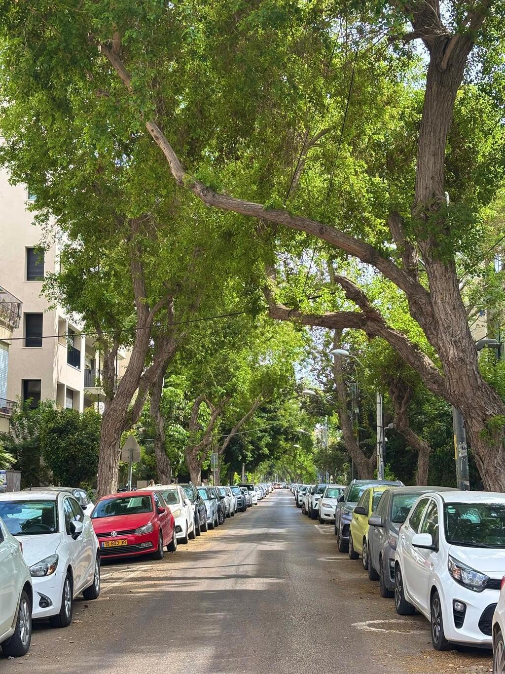 Tel Aviv