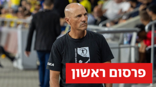זיו אריה