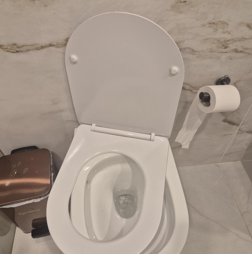 The toilet seat remained crooked (Photo: Assaf Kamar) האסלה שהתעקמה