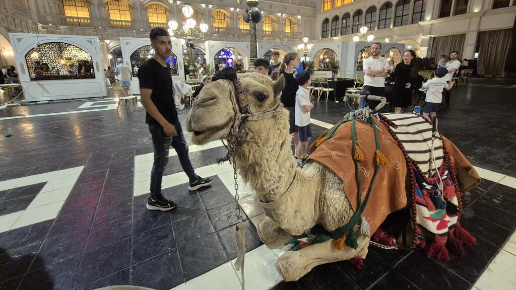 Camels in the lobby (Photo: Assaf Kamar) גמלים בלובי