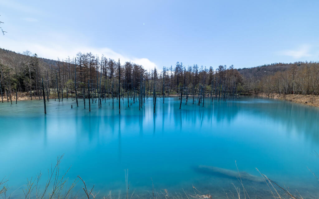 Blue Pond in Biei (Photo: Rafi Koren) הבריכה הכחולה בביאיי