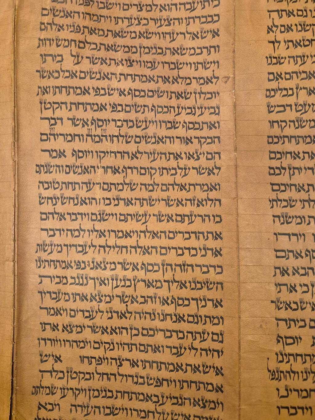 One of the pages of the ancient Torah scroll (Photo: ANU - Museum of the Jewish People) אחד העמודים בספר התורה העתיק