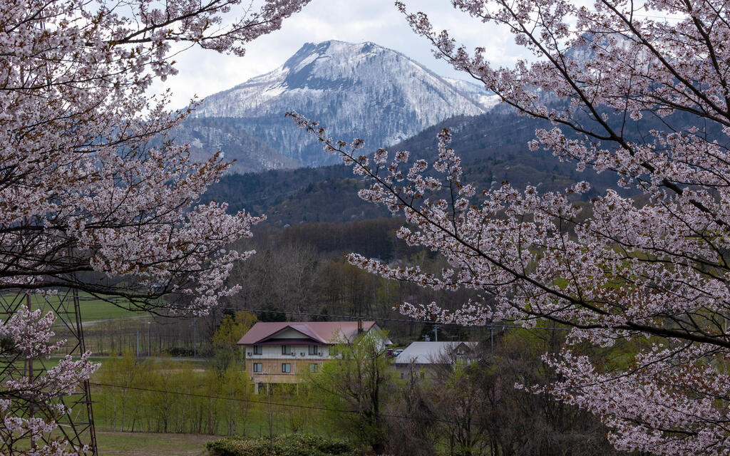Between volcanoes and frozen lakes: the trip that showed us a different Japan (Photo: Rafi Koren) מרכז האי ופוראנו