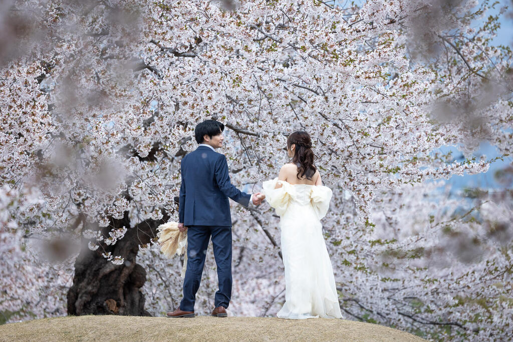 Goryokaku park (Photo: Rafi Koren) פארק Goryokaku