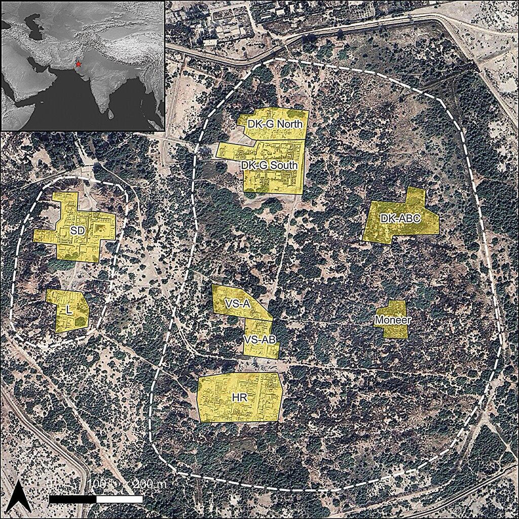 The areas studied within the city of Mohenjo-daro (Photo: Antiquity) האזורים שנחקרו בשטח העיר מוהנג'ו-דארו