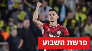דן ביטון