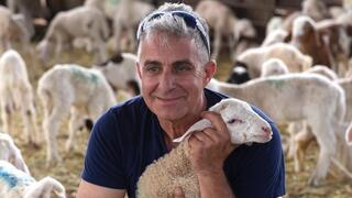 חולבים תחת אש: "שבועות חלש כזה לא היה מעולם"