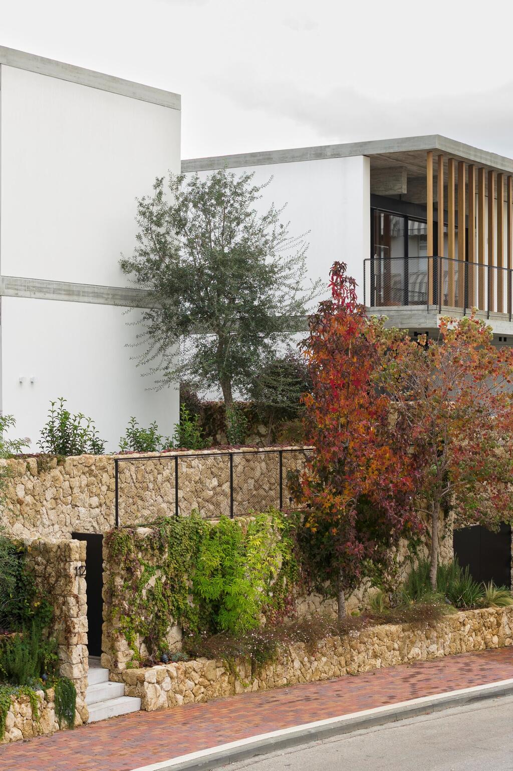 Residential project for four families by Levin Packer Architects (Photo: Amit Geron) פרויקט מגורים בתכנון לוין פקר אדריכלים - 4 בתים