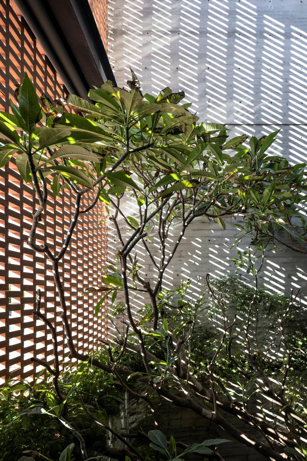 Mashrabiya screens filter light and air while defining the inner courtyard (Photo: Amit Geron) הבית בשכונה המרונית בתכנון פיצו קדם