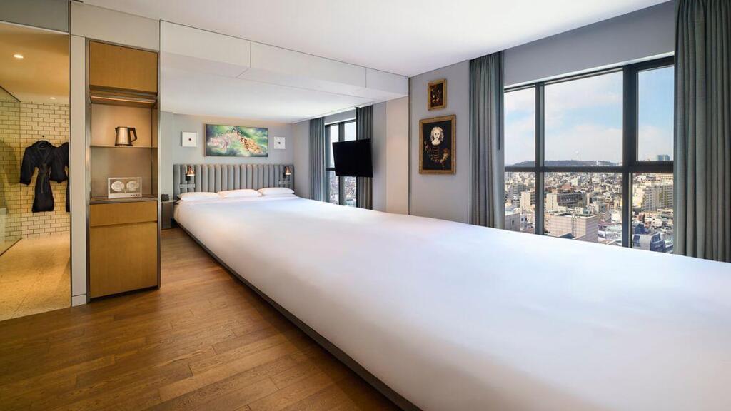 Curator Suite 1503