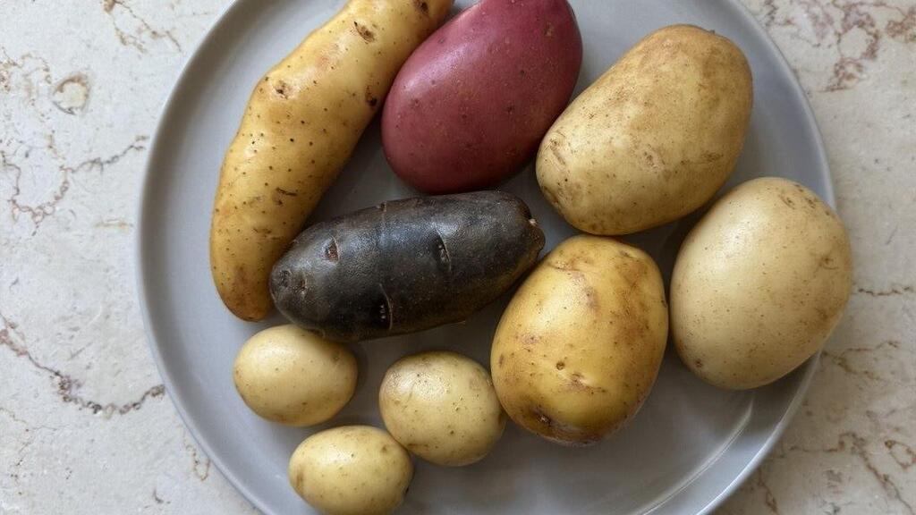 תפוחי אדמה