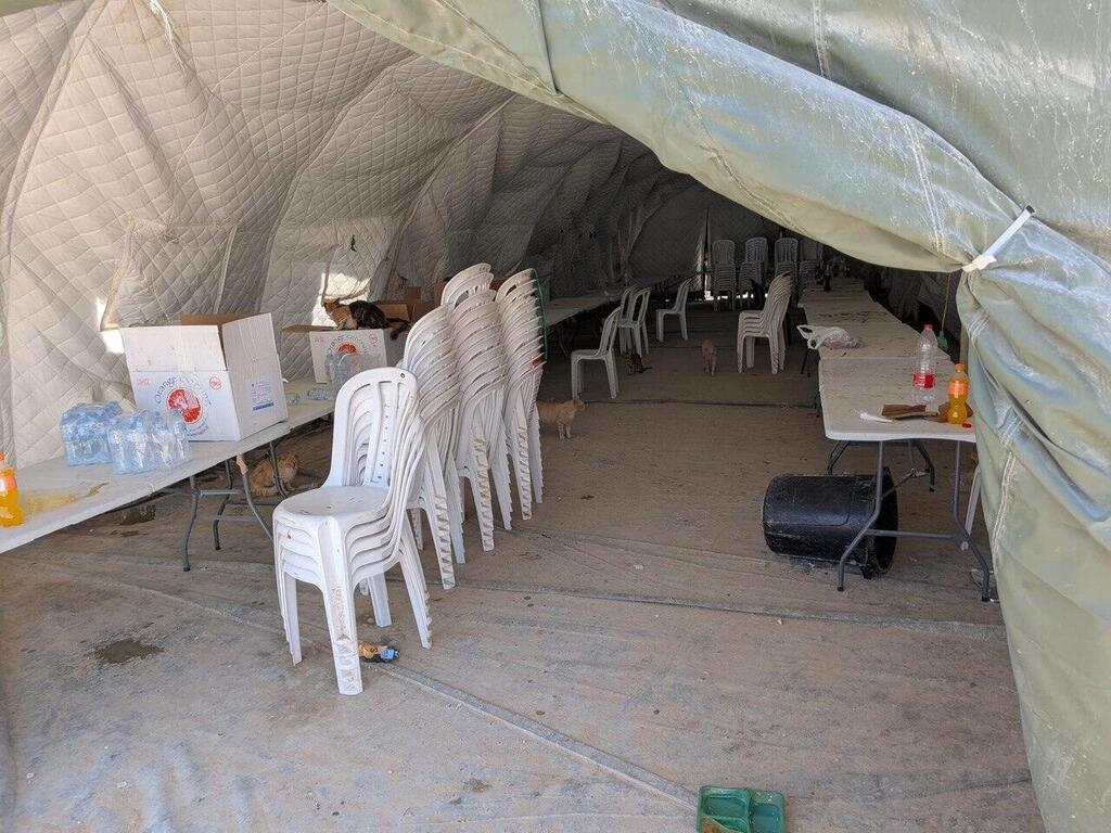 There are hundreds of cats and dogs roaming the outpost with no control המצב התברואתי הקשה במוצב ראול