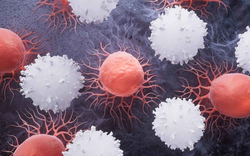 The researchers wanted to know whether they truly “remember” the tumor (Photo: shutterstock) מערכת החיסון מול סרטן: האם הגוף יודע "לזכור" גם גידול סרטני?