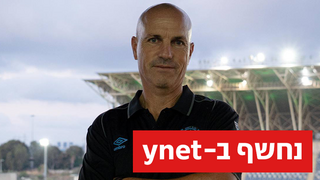 זיו אריה