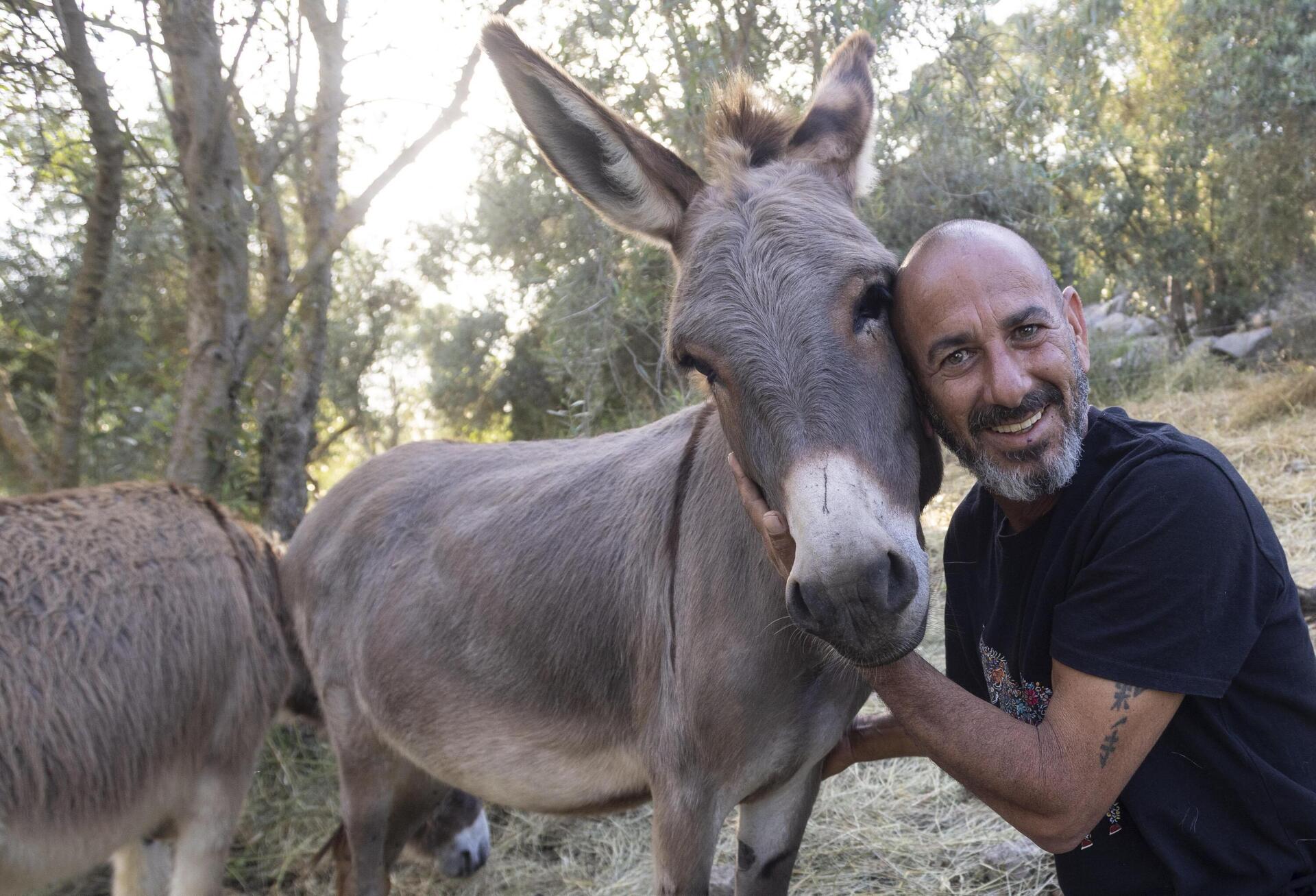ידידו הטוב. אלון הלפרין מתמודד עם פוסט טראומה בעזרת חמורים 